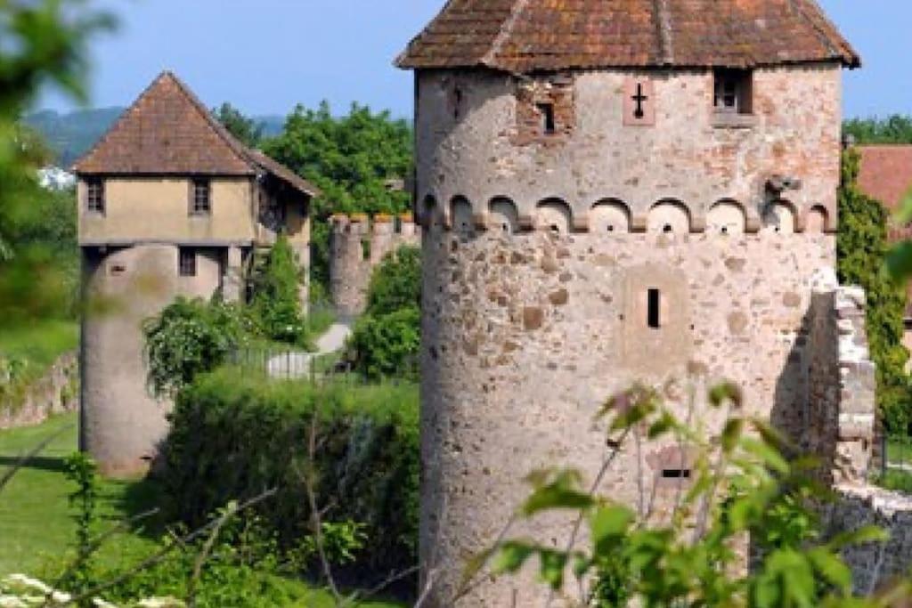 L'Altenberg Bergheim Exterior foto